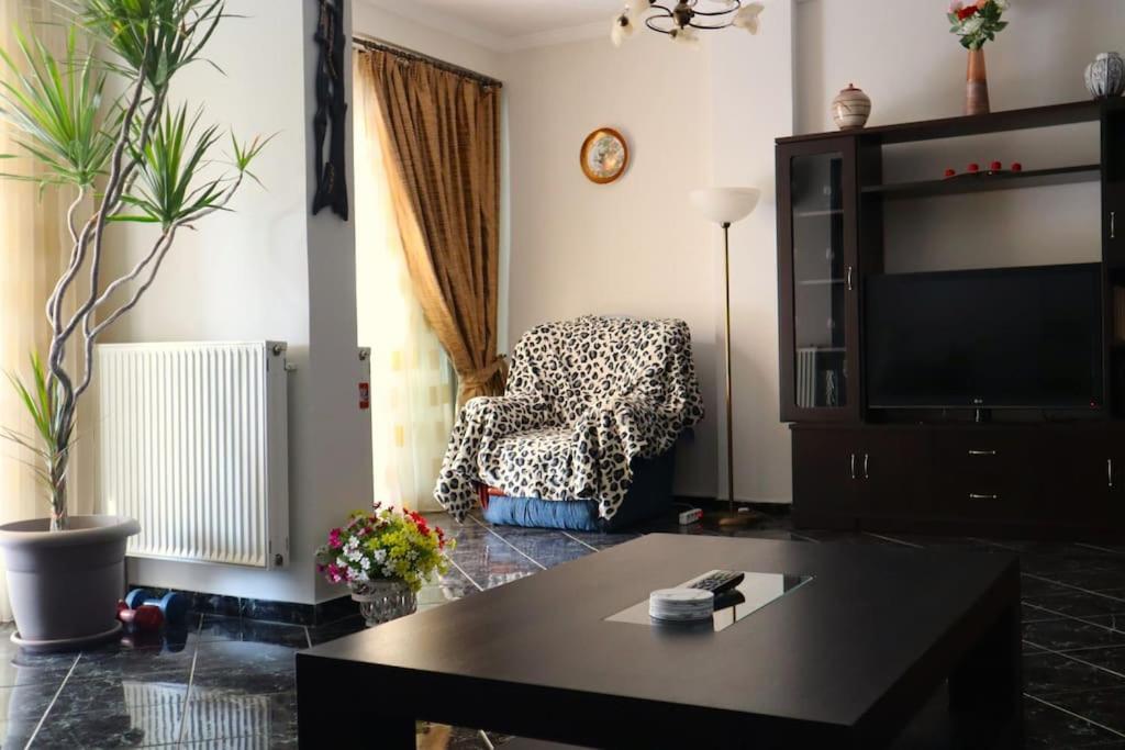 Great Apartment, Large Balcony דירה